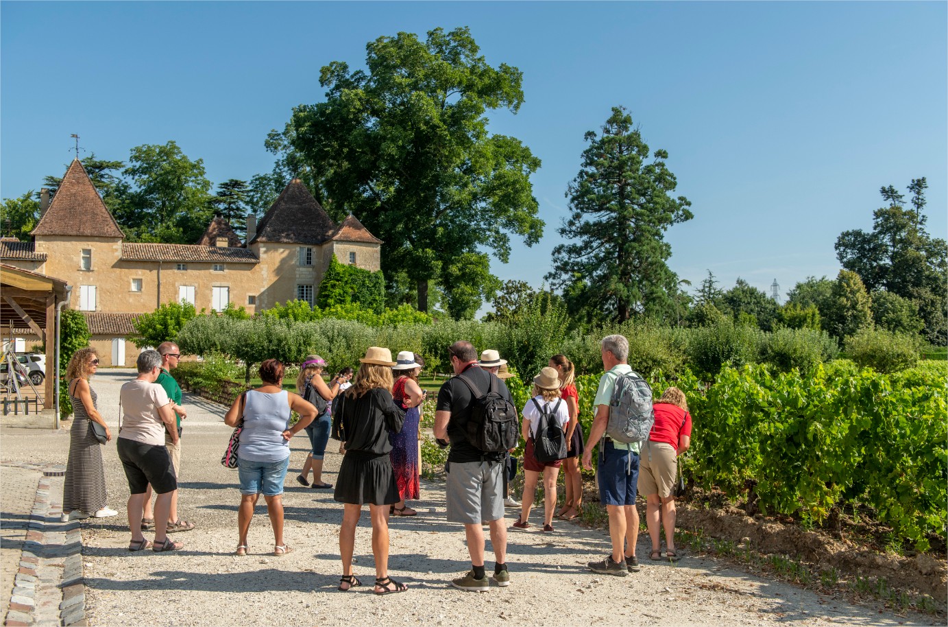 Visite en groupe du vignoble © Vincent Bengold.jpg