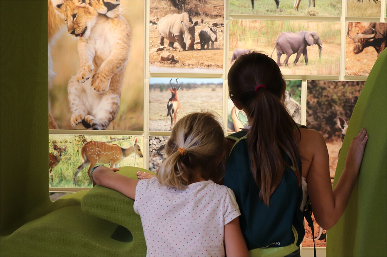 Muséum science et nature de Bordeaux