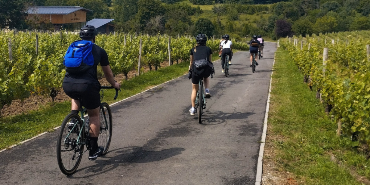 Gravel bike in the vineyard