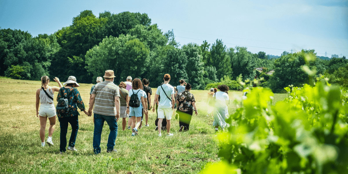 Guided tour vineyards