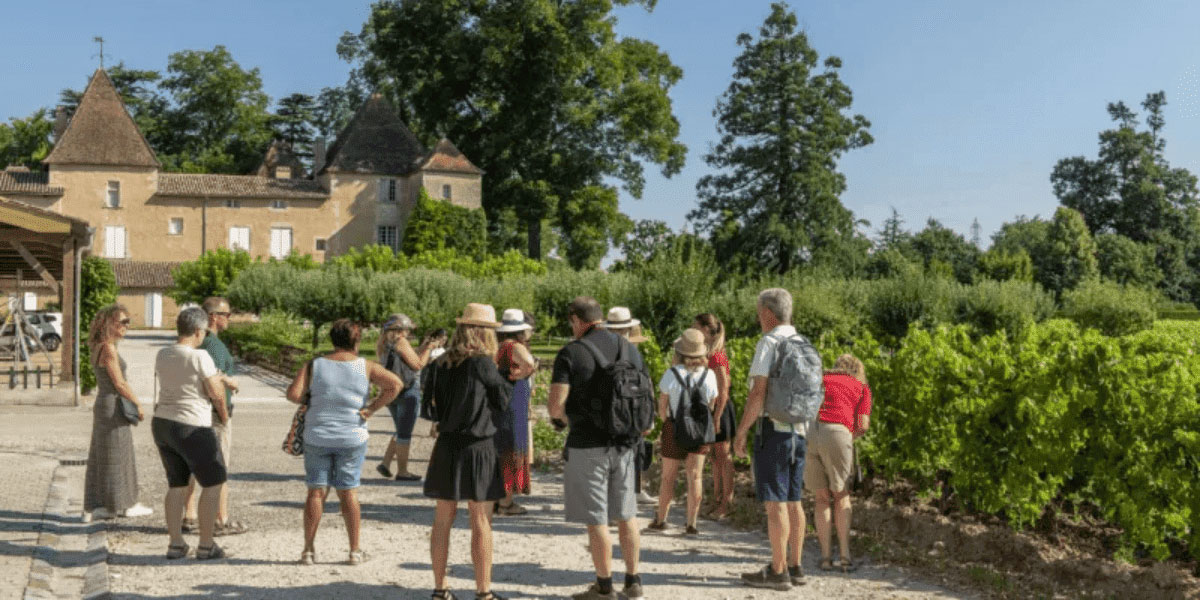 Visite du vignoble