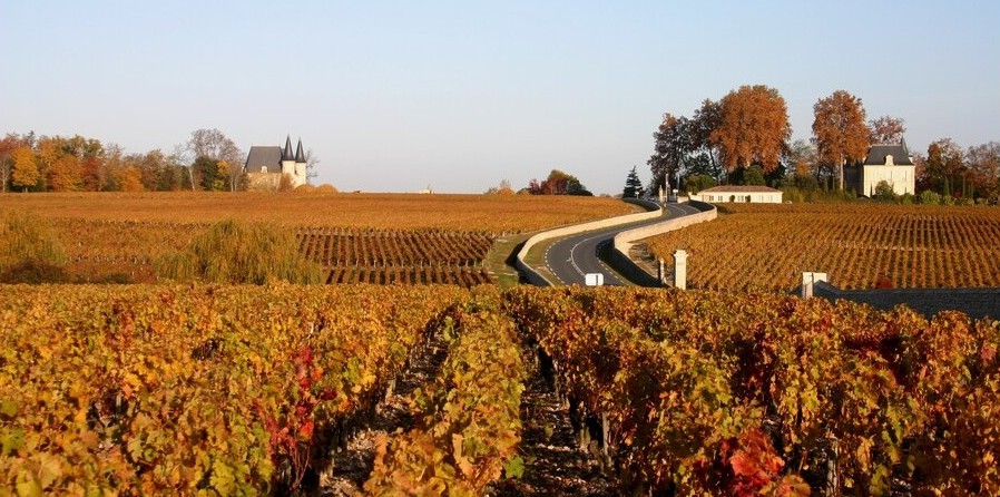 The Route des Châteaux through the vineyards of Pauillac in the Médoc