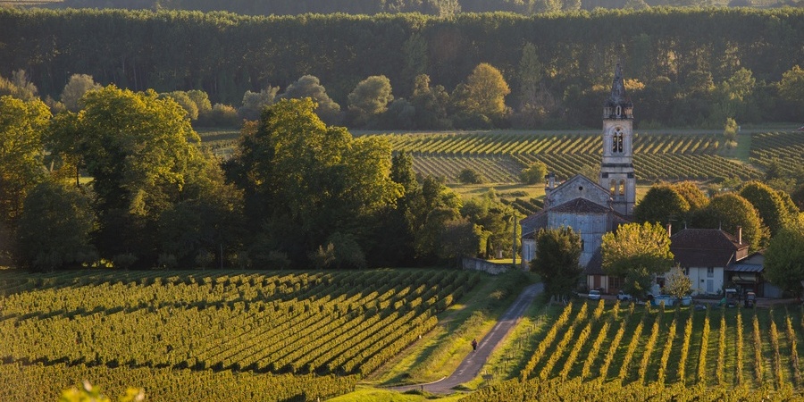 Rolling vineyards and church of the Entre-deux-Mers wine route near Bordeaux