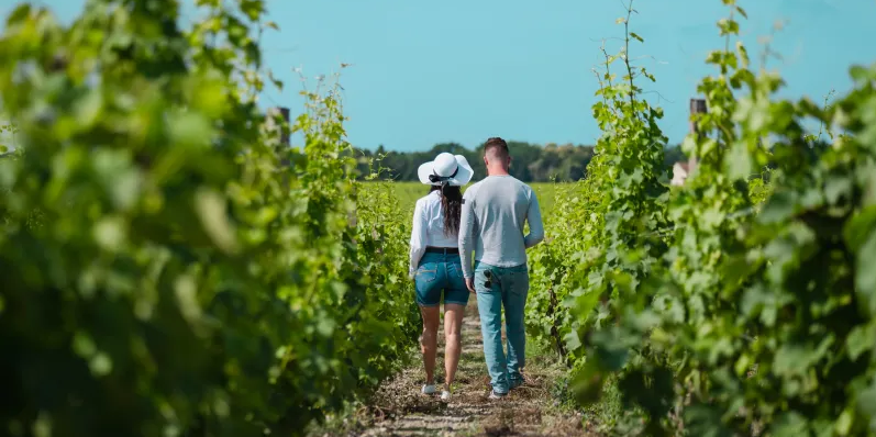 Couple walking through the vineyards on a Bordeaux wine tour