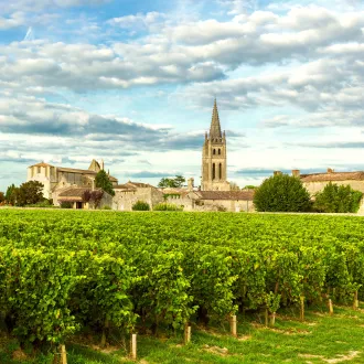 Vignobles de Saint-Emilion
