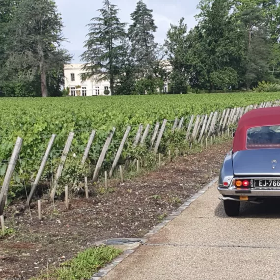 Tour / Excursion at I Love My 2cv in Bordeaux - Vineyard tour in a Citroën  2cv & delicacies