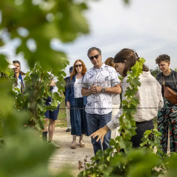 Balade dans les vignes©ARTISTE ASSOCIE PHOTOGRAPHES