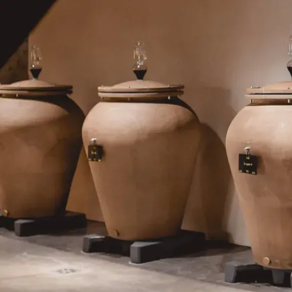 Découverte des amphores au Château Larmande