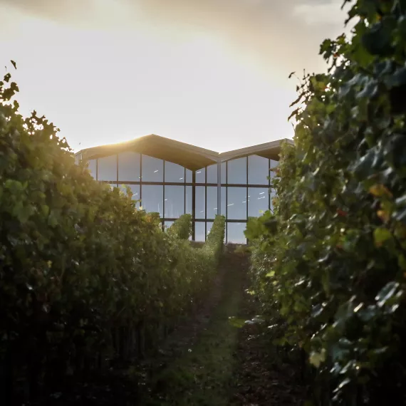 château Lauduc vins et fromages