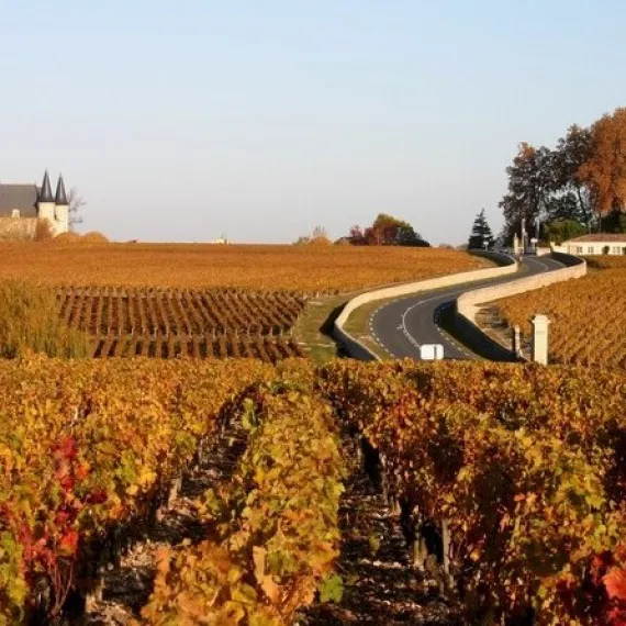 The Route des Châteaux through the vineyards of Pauillac in the Médoc