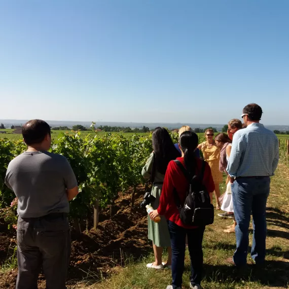 Bordeaux So You Medoc matin