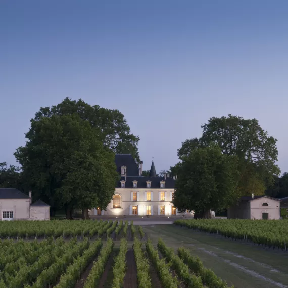 Medoc 1855 © Vinexia - Chateau Cantemerle