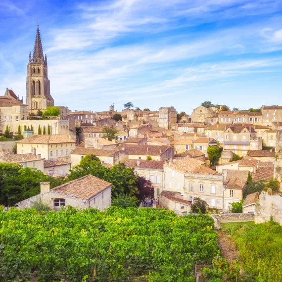 Ophorus Privé St Emilion