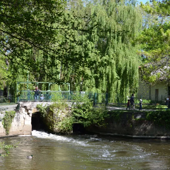 Parc animalier René Canivenc_le Moulineau©Ville de Gradignan.JPG