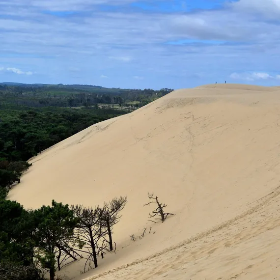 dune-du-pilat