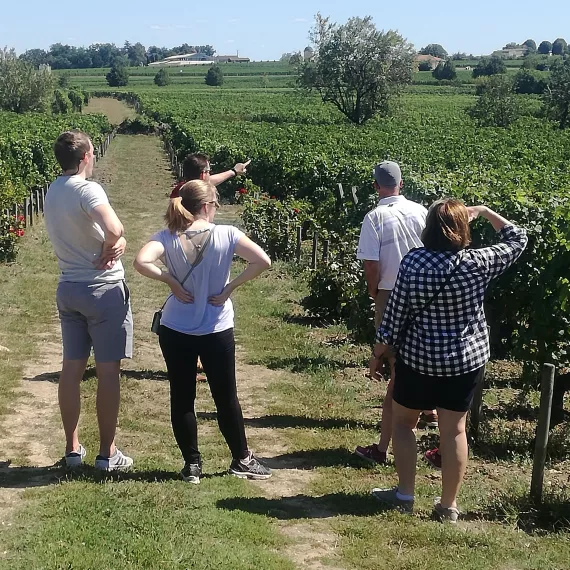 olala st emilion chateaux...