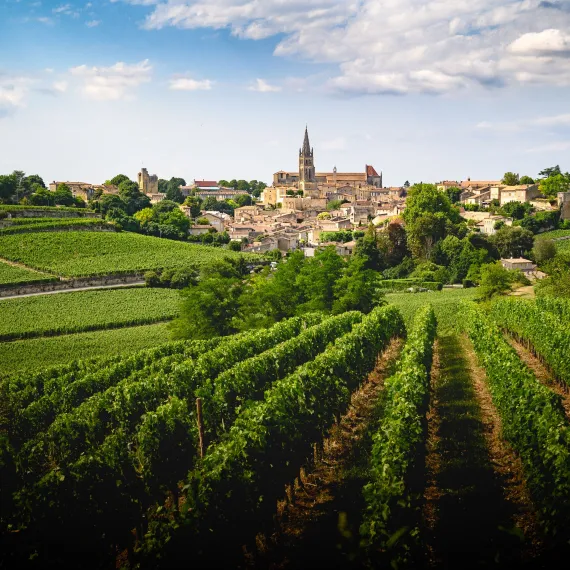 Bordeaux-Weinberge mit Blick auf ein mittelalterliches Dorf mit roten Dächern und Kirchturm in der Ferne, umgeben von Reihen grüner Weinreben unter bewölktem Himmel.