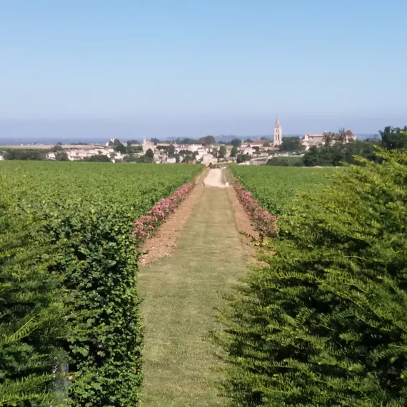 Bordeaux So You Saint-Emilion après-midi