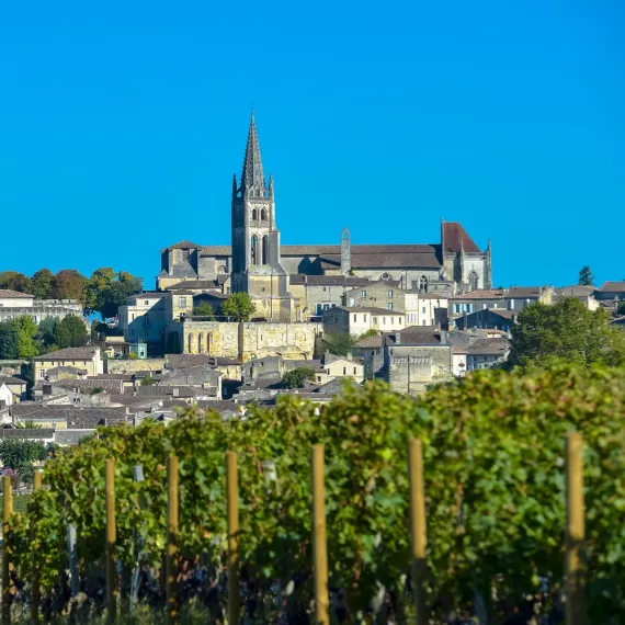 Saint-Emilion Wine Tour - Full-Day