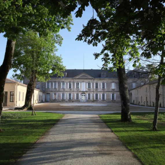 Allée menant au Château Soutard