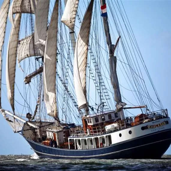 thalassa
