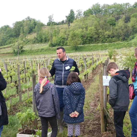 en famille dans les vignes