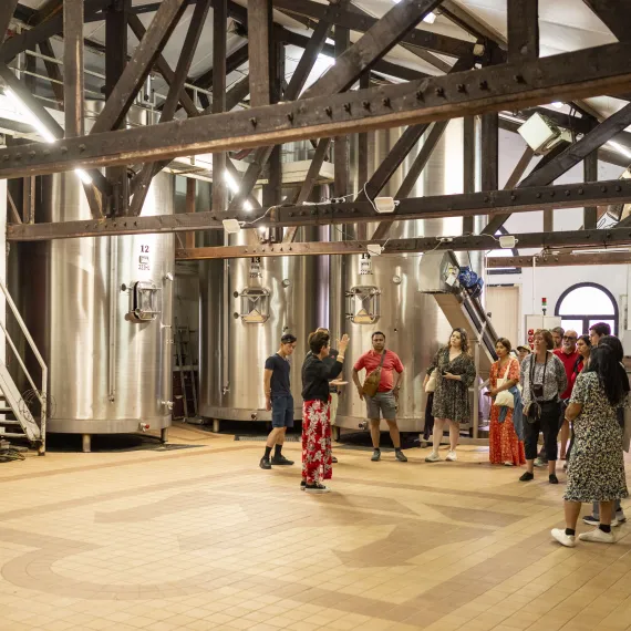 Groupe de visiteurs participant à une visite du cuvier au Châteaux Maucaillou, Médoc