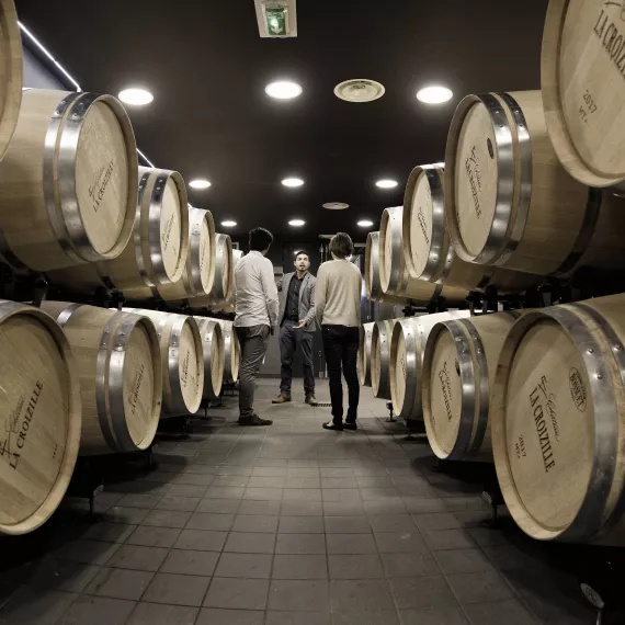 Le chai à barriques