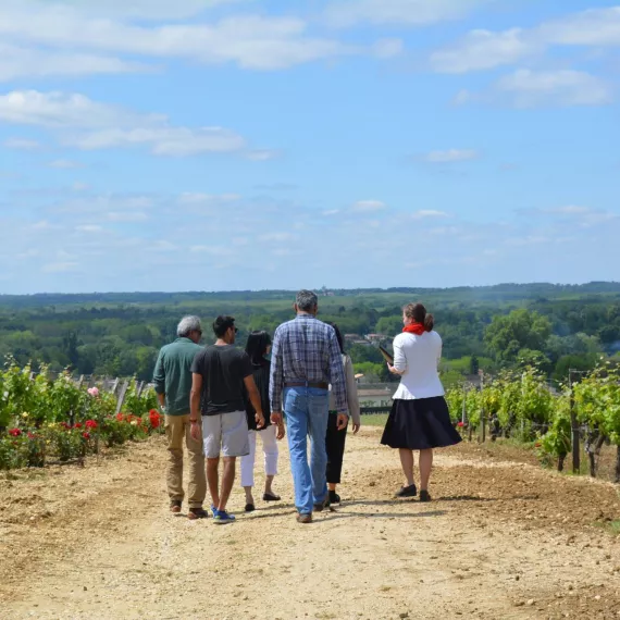 Les Vignes de Rayne Vigneau