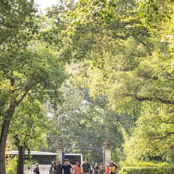 Visiteurs dans le vignoble ©ARTISTE ASSOCIE PHOTOGRAPHES