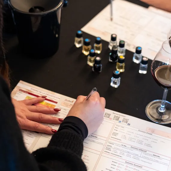 Initiation à l'œnologie, les arômes du vin 