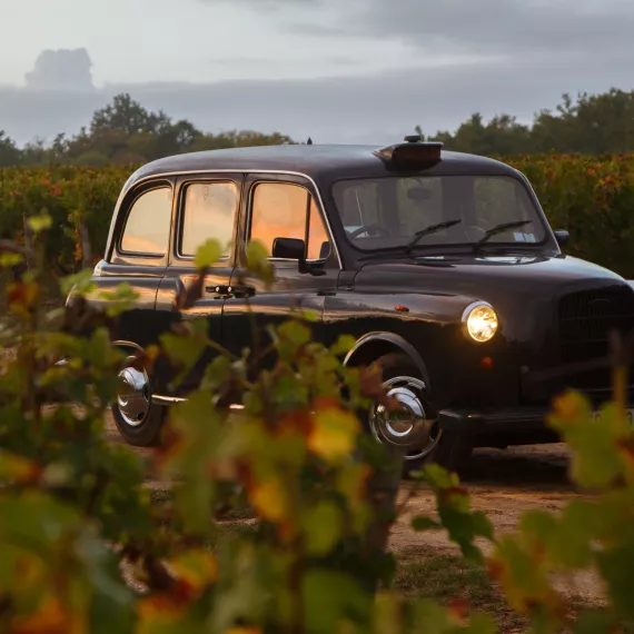 Vin bio - Bordeaux