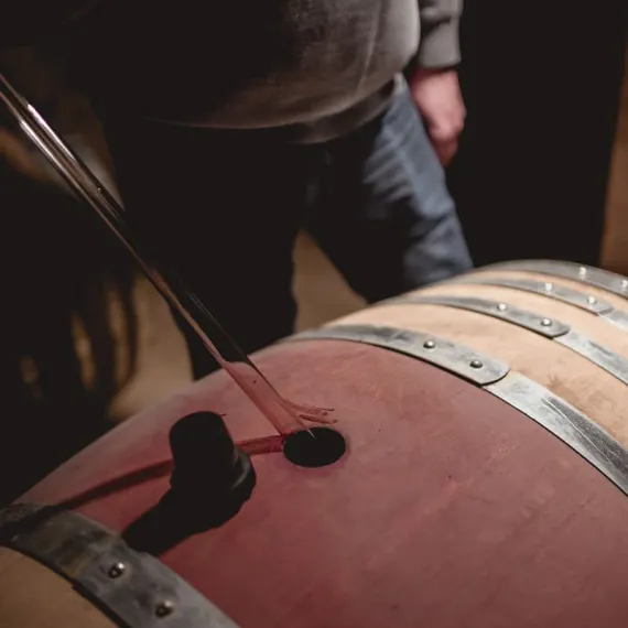 Vin en cours de vinification dans une barrique en bois au sein d un chai viticole.