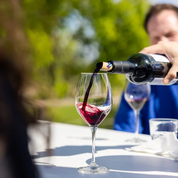 Un verre est servi en vin rouge lors d'une dégustation en plein air dans un domaine viticole.