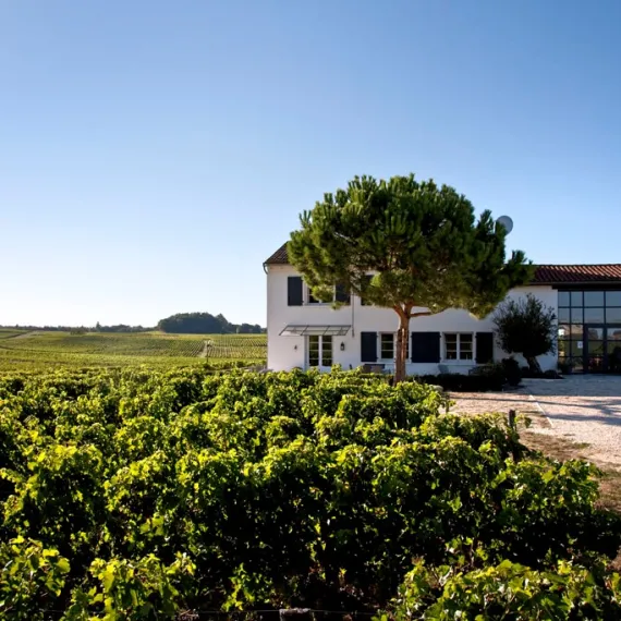 Architecture du Château George 7