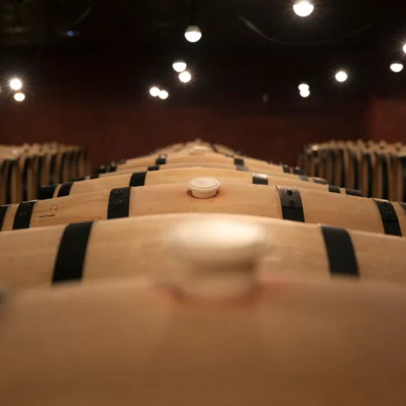 balade-st-em-grand-cru.png