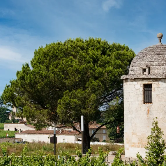 Extérieur du Château Balestard La Tonnelle