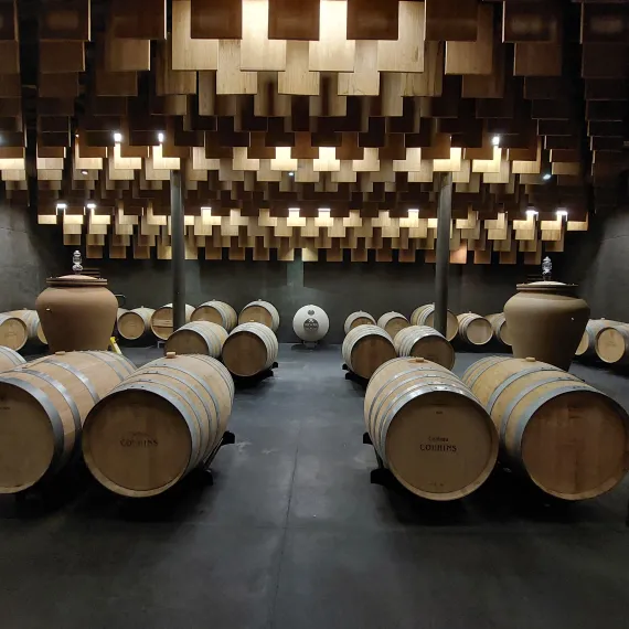 Chais à barriques Château Couhins