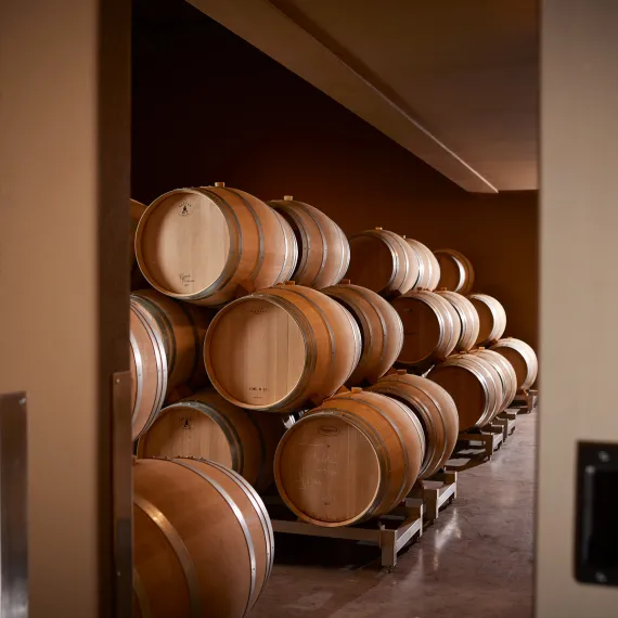 Découverte des chais au Château Chauvin