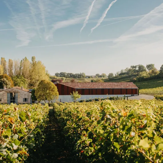 Château Rol Valentin dans les vignes