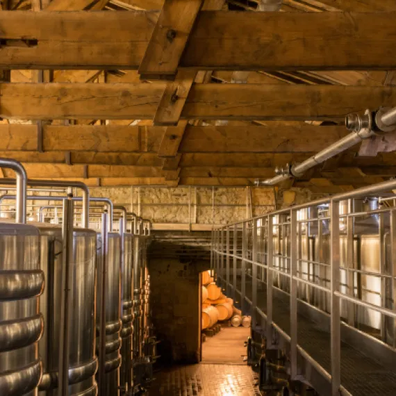 Cuvier médocain du Château Paveil de Luze avec ses cuves inox pour la vinification