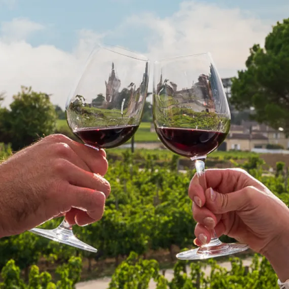 Dégustation devant les vignes 