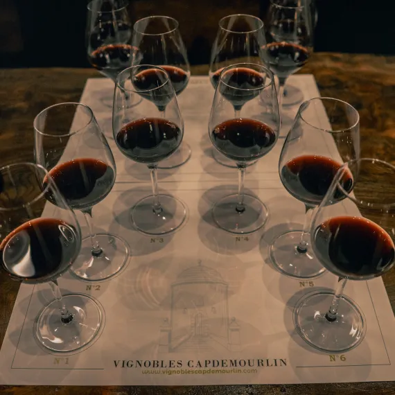 Dégustation verticale Château Balestard la Tonnelle