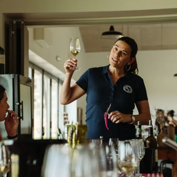 Dégustation commentée 6 vins au Château Le Grands Verdus 