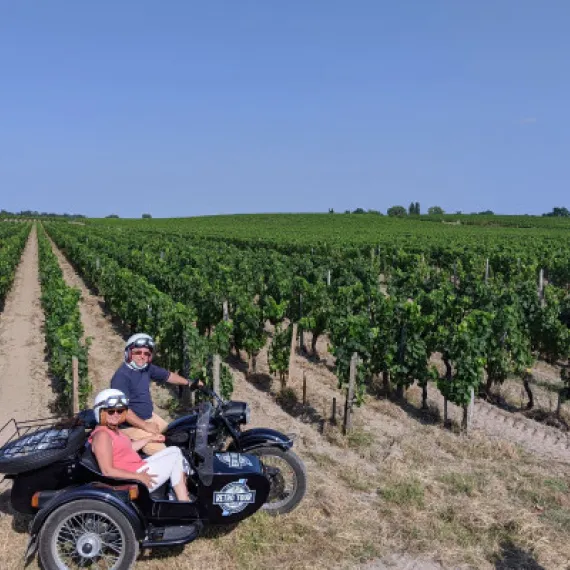 vignoble en side-car