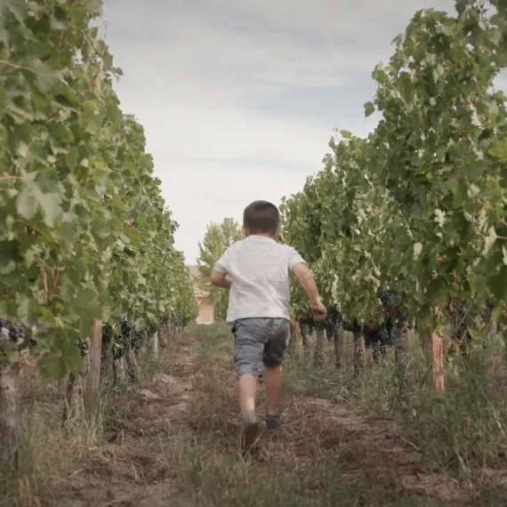 Enfant qui court dans les vignes