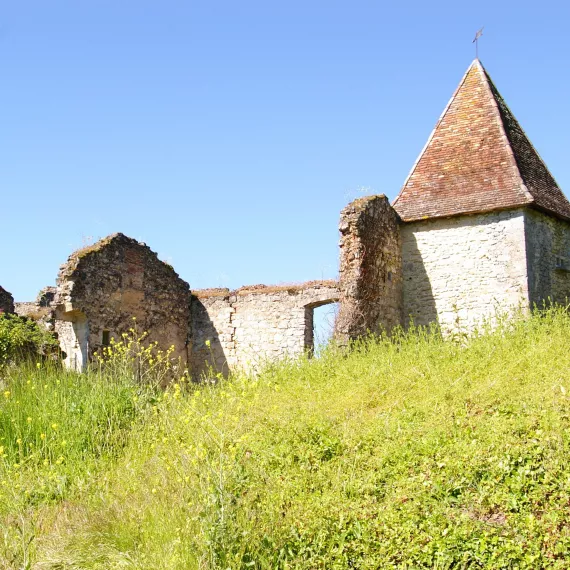cros visite