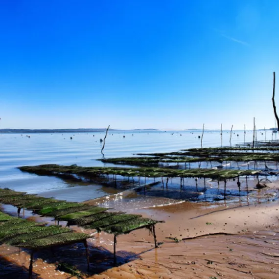 Food Tour "Le Canon & l'Herbe insolites" 