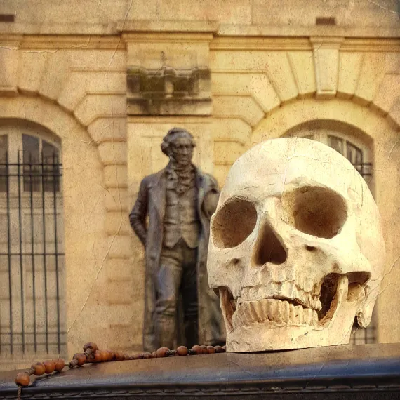 Code Cade Crâne de Goya