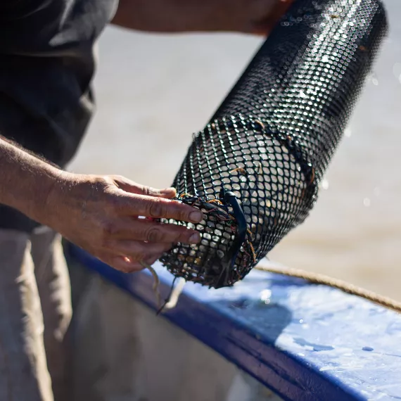 Le pêcheur de Bx